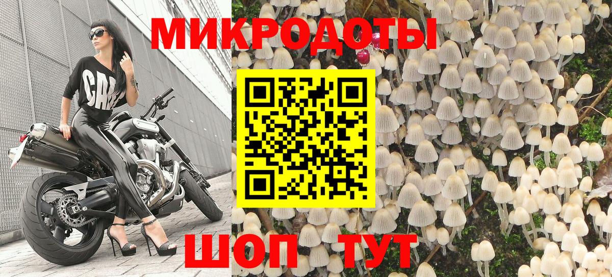 Псилоцибиновые грибы GOLDEN TEACHER  Галлюциногенные грибы прущие грибы  Лесосибирск  Вход с VPN 